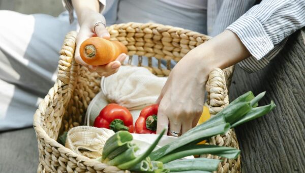 Crop anonymous female wearing casual outfit placing fresh organic vegetables in wicker basket while sitting on wooden bench in lush garden